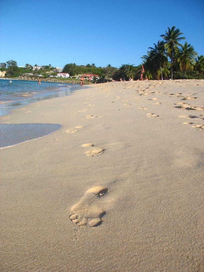 Les Algues De La Chapelle Bleu Horizon Villa Anse-Bertrand Ngoại thất bức ảnh